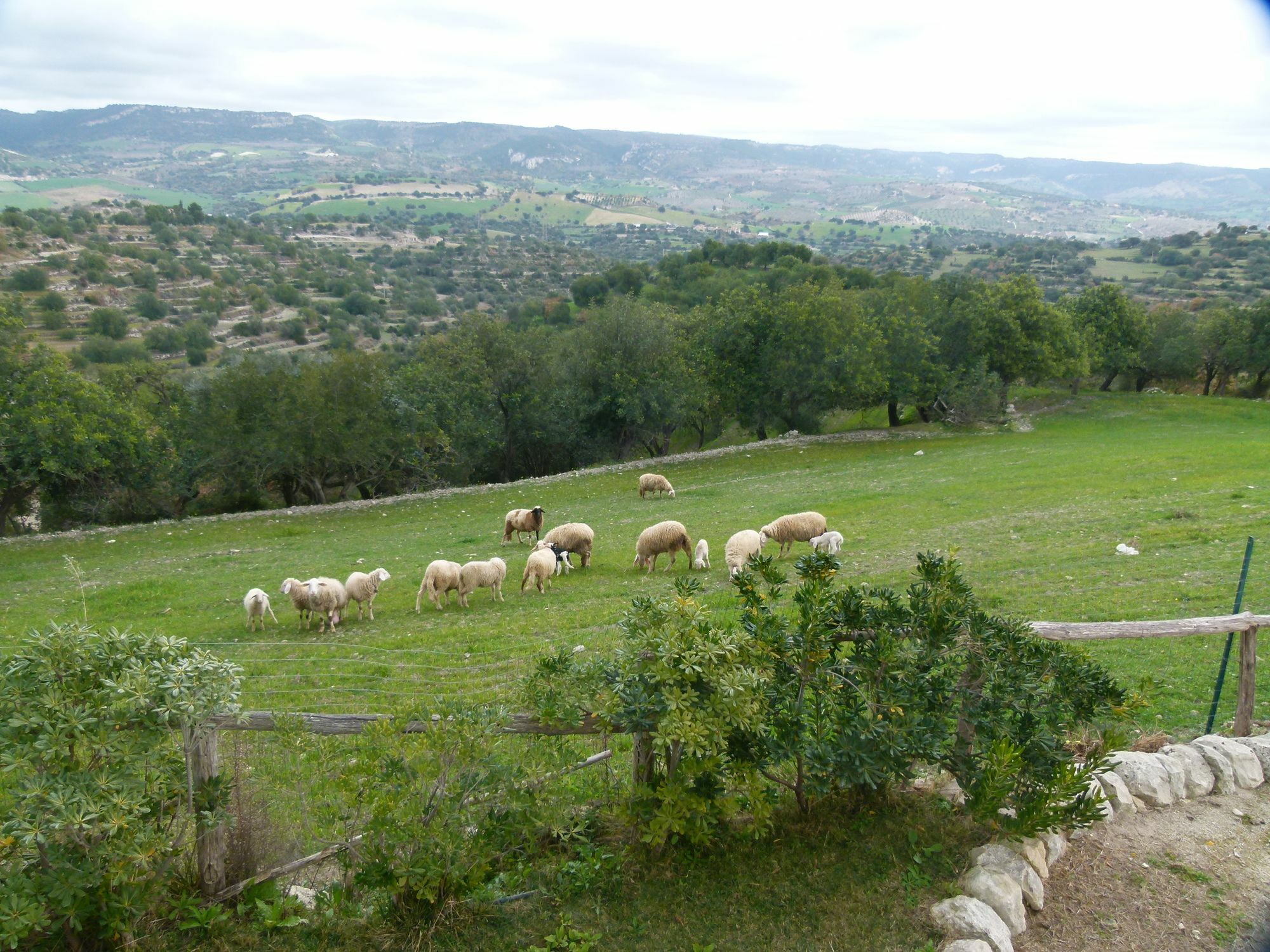 Agriturismo Villa Gaia Modica Bagian luar foto