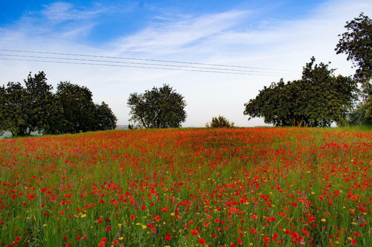 Agriturismo Villa Gaia Modica Bagian luar foto